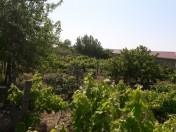 Satılır 10 sot torpaq Fatmayı