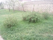 Satılır 9 otaqlı 400 m2 bağ evi Bilgəh
