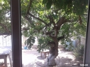 Satılır 5 otaqlı 200 m2 köhnə tikili Mərdəkan