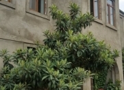 Satılır 8 otaqlı 216 m2 həyət evi 9 mkr