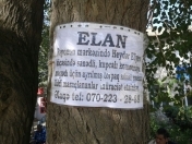Satılır 1 otaqlı 60 m2 obyekt Biləsuvar