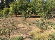 Satılır 12 sot torpaq Görədil