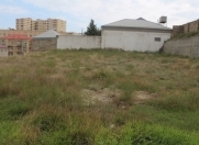 Satılır 12 sot torpaq Badamdar