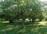 Satılır 3 otaqlı 120 m2 həyət evi Şəki