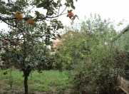 Satılır 3 sot torpaq Sulutəpə