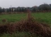 Satılır 21 sot torpaq Masallı