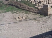 Satılır 3 sot torpaq Mehdiabad