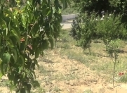 Satılır 3 otaqlı 40 m2 yeni tikili Hökməli