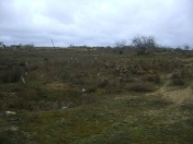 Satılır 24 sot torpaq Kürdəxanı