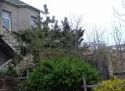 Satılır 5 otaqlı 140 m2 həyət evi Masazır