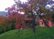 Satılır 3 sot torpaq Quba