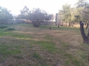 Satılır 4.6 sot torpaq Saray