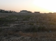 Satılır 12 sot torpaq Nardaran