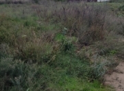 Satılır 12 sot torpaq Ramana