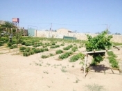 Satılır 28 sot torpaq Zirə