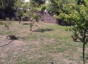 Satılır 6 sot torpaq Lənkəran