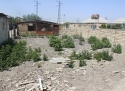 Satılır 1.5 sot torpaq Zabrat 2