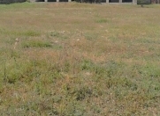 Satılır 10 otaqlı 1000 m2 həyət evi Pirşağı