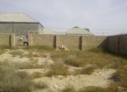 Satılır 3 sot torpaq Badamdar