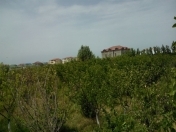 Satılır 4 sot torpaq Binə