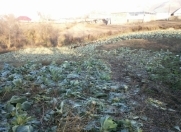 Satılır 23 sot torpaq Gədəbəy