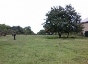 Satılır 25 sot torpaq Zaqatala