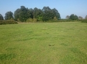 Satılır 18 sot torpaq Lənkəran