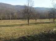 Satılır 43 sot torpaq Quba