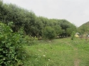 Satılır 14 sot torpaq İsmayıllı