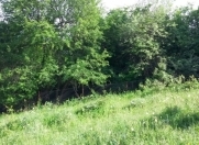 Satılır 30 sot torpaq Xızı