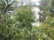 Satılır 7 otaqlı 320 m2 həyət evi Şıxov