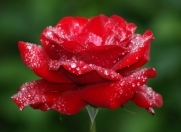 İcarəyə verilir 1 otaqlı 30 m2 köhnə tikili Əmircan