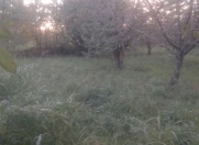 Satılır 8 sot torpaq Quba