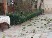 Satılır 7 otaqlı 290 m2 həyət evi Göygöl