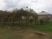 Satılır 10 sot torpaq Hövsan