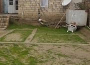 Satılır 3 otaqlı 100 m2 həyət evi Masazır