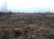 Satılır 84 sot torpaq Göyçay