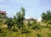 Satılır 9 sot torpaq Biləcəri