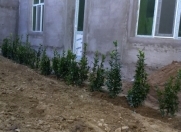 Satılır 3 otaqlı 100 m2 həyət evi Badamdar