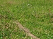 Satılır 2 sot torpaq Daşkəsən