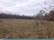 Satılır 800 sot torpaq Quba