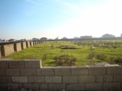 Satılır 104 sot torpaq Mehdiabad