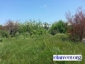 Satılır 8 sot torpaq Quba