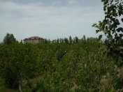 Satılır 4 sot torpaq Binə