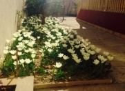 Satılır 8 otaqlı 500 m2 həyət evi 6 mkr