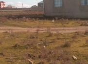 Satılır 6 sot torpaq Saray