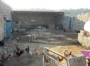 Satılır 3 otaqlı 500 m2 obyekt Qobu