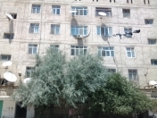 İcarəyə verilir 2 otaqlı 31 m2 köhnə tikili 3 mkr