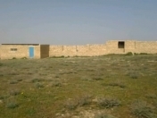 Satılır 50 sot torpaq Y.Suraxanı