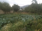 Satılır 20 sot torpaq Xızı